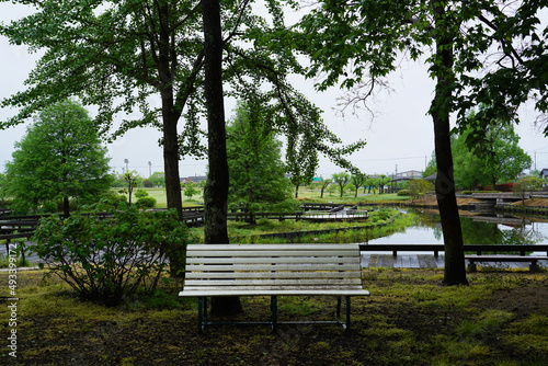 雨の日の公園のベンチ