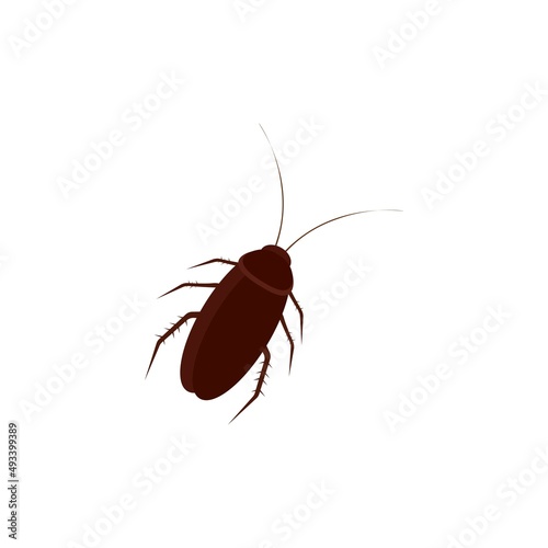 Cockroach icon template vector