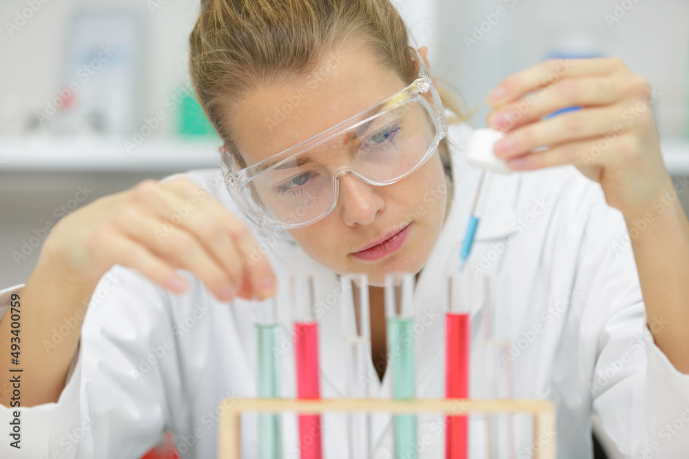 scientist works in modern biological laboratory scientist works in modern biological laboratory