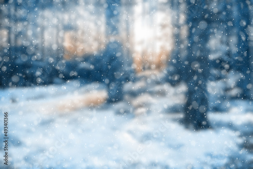  blurred winter forest