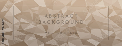 low poly abstract modern background. pastel colors chaotic triangles of variable size and rotation. Minimalist layout for business card landing page wallpaper website brochure. Trendy vector eps10
