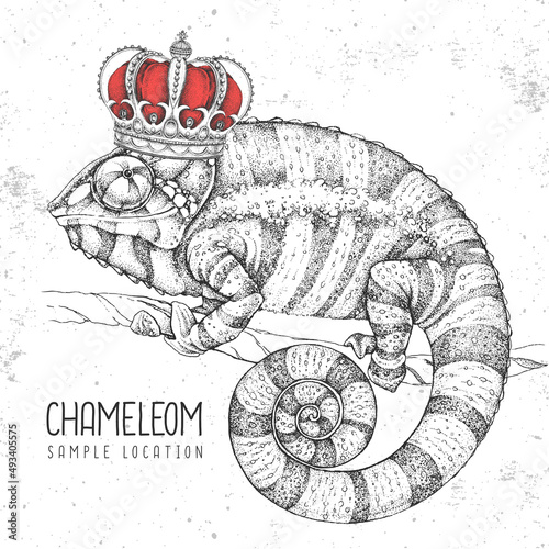 Hand drawing chameleon illustration with crown. Graphic art. Vector illustration