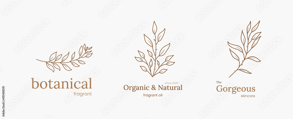 hand drawn botanical logo collection