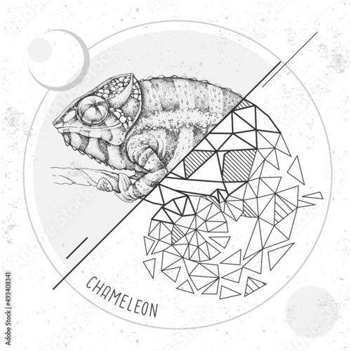Realistic and polygonal chameleon illustration. Triangle animal vector illustration