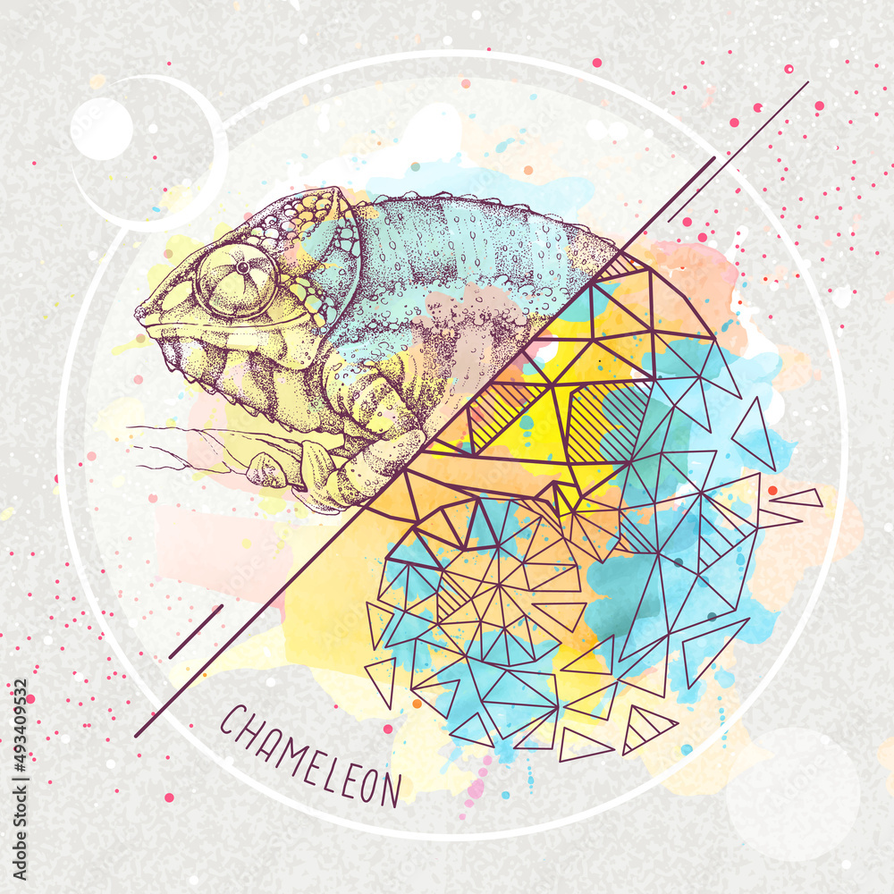 Fototapeta premium Realistic and polygonal chameleon illustration on artistic watercolor background. Triangle animal vector illustration