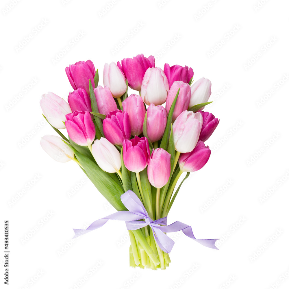 Pink tulip on the white background. Easter background Pink tulip on the white background. Easter background