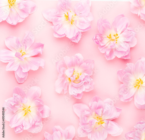 Pink tulips blossom pattern on pastel background.