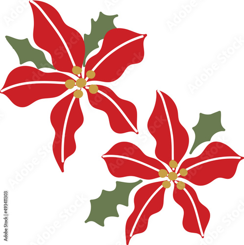Cute red christmas plants illustration.