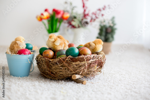 Cute little newborn chicks in a bucket and easter eggs