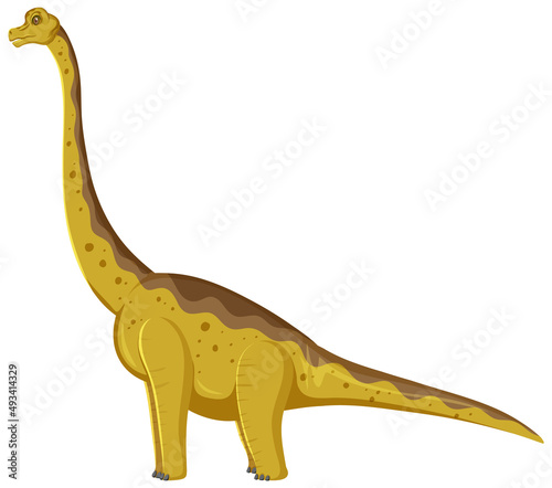 Brachiosaurus dinosaur on white background