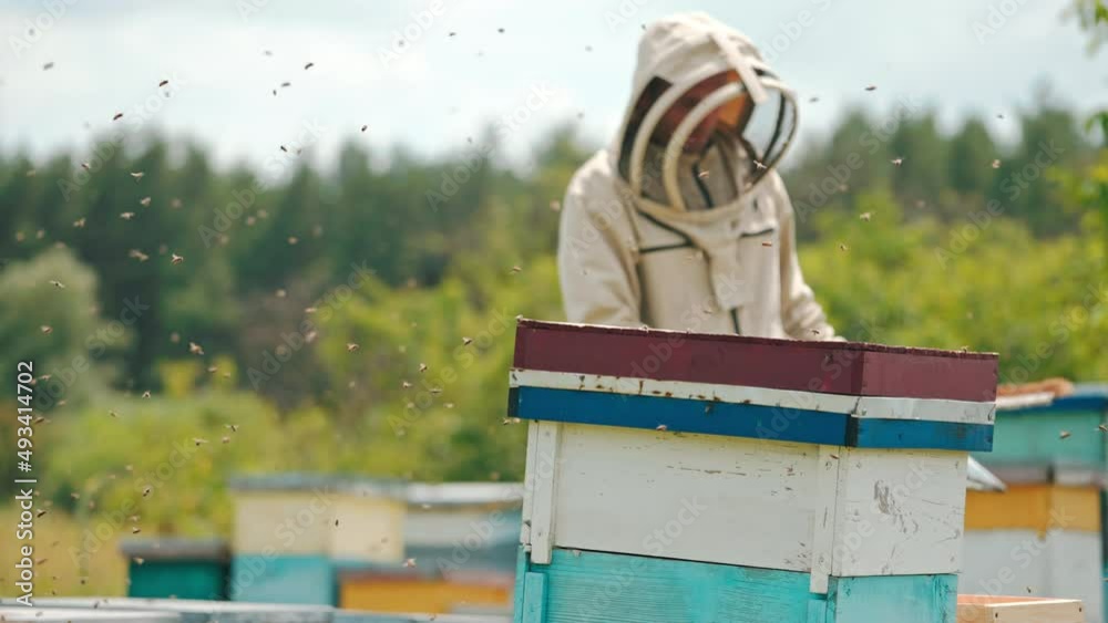 Angry bees swarming in the apiary. Beekeeper in protective clothes and hat with instruments in hands comes to the hive. Blurred backdrop. Angry bees swarming in the apiary. Beekeeper in protective clothes and hat with instruments in hands comes to the hive. Blurred backdrop.
