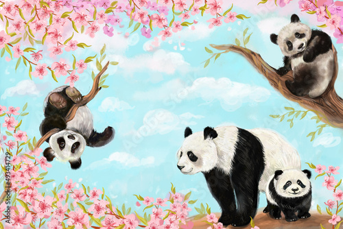 Fototapeta Naklejka Na Ścianę i Meble -  Cute pandas on a sakura tree illustration for postcards and posters