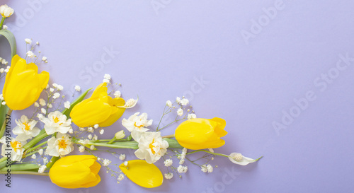 yellow tulips on purple  paper background © Maya Kruchancova