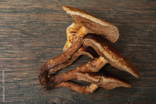 Edible mushrooms - delicious and healthy dietary food