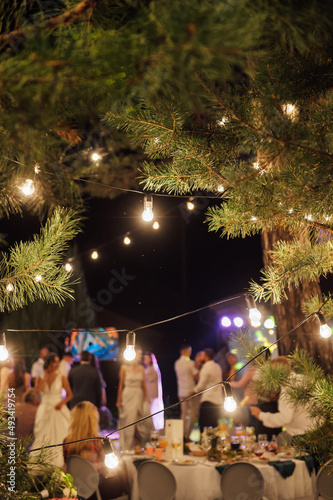 Decorative outdoor lighting lamps in the forest at a wedding party. Edison lamps on coniferous trees.
