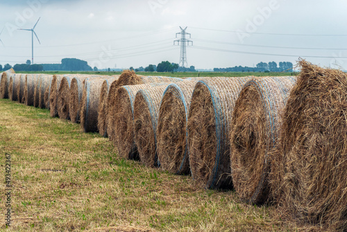 Rolled hay bails in a field in Europe