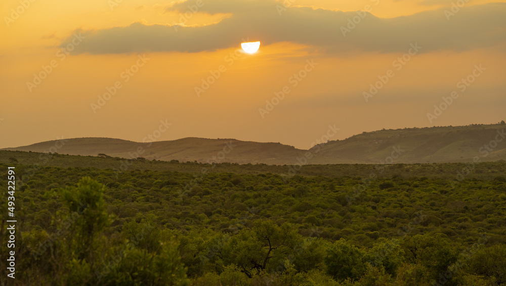 Sonnenaufgang und Buschlandschaft Naturreservat Hluhluwe Nationalpark Südafrika