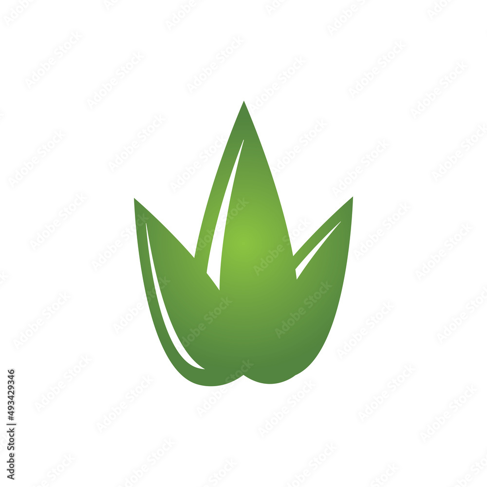 leaf logo vector template icon and design leaf logo vector template icon and design