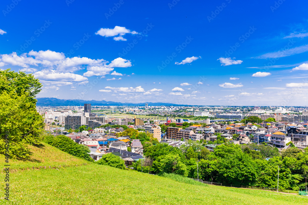 青空が広がる郊外の住宅地