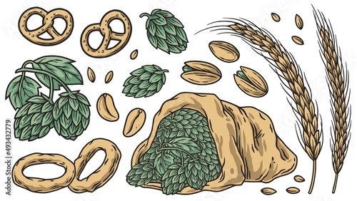 Beer set of elements with hops for beer design. Hop, pretzel, spikelet, pistachio, nuts and onion rings for alcohol bar or pub