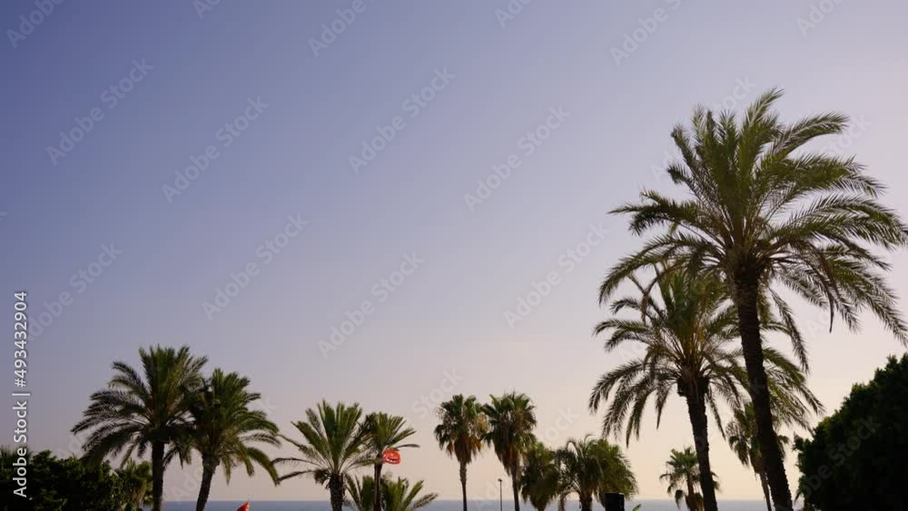 sea, water, coast, sky, beach, island, ocean, nature, landscape, boat, bay, summer, mountains, travel, view, rock, coastline, mountain, panorama, tourism, mediterranean, ship, holiday, greece, shore, sea, water, coast, sky, beach, island, ocean, nature, landscape, boat, bay, summer, mountains, travel, view, rock, coastline, mountain, panorama, tourism, mediterranean, ship, holiday, greece, shore,