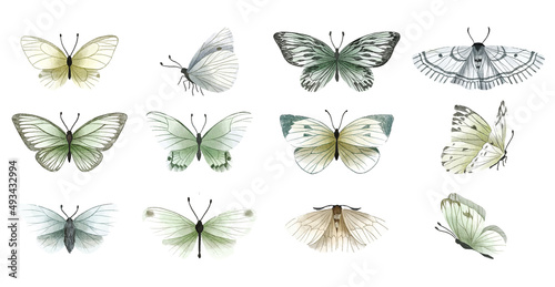 Photography Set of gentle hand drawn butterflies, hand drawn