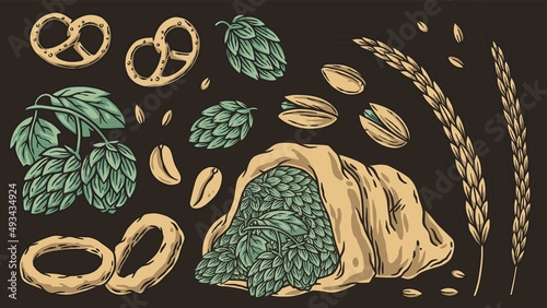 Beer set of elements with hops for beer design. Hop, pretzel, spikelet, pistachio, nuts and onion rings for alcohol bar or pub