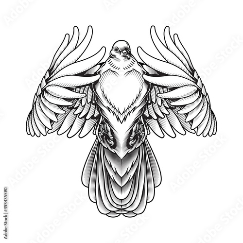 Flying white dove symbol of peace. Vector illustration of white flying pigeon in engraving technique isolated on white. 