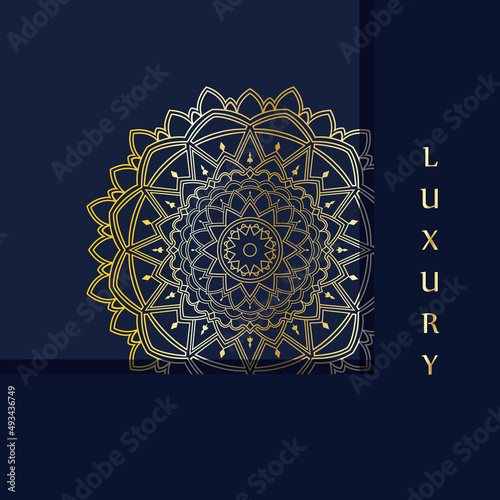 Mandala vector icon template image