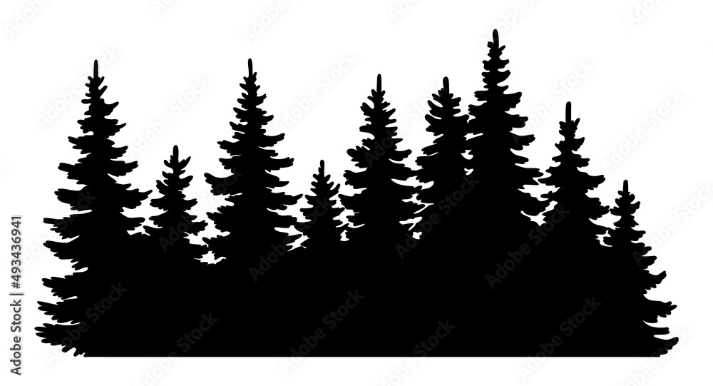 Fir trees silhouette. Coniferous spruce horizontal background pattern, black evergreen woods vector illustration. Beautiful hand drawn panorama with treetops forest