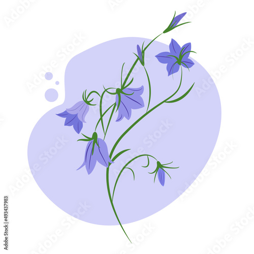 Abstract background with flower. Plant.  Background, poster, banner. Vector illustration.