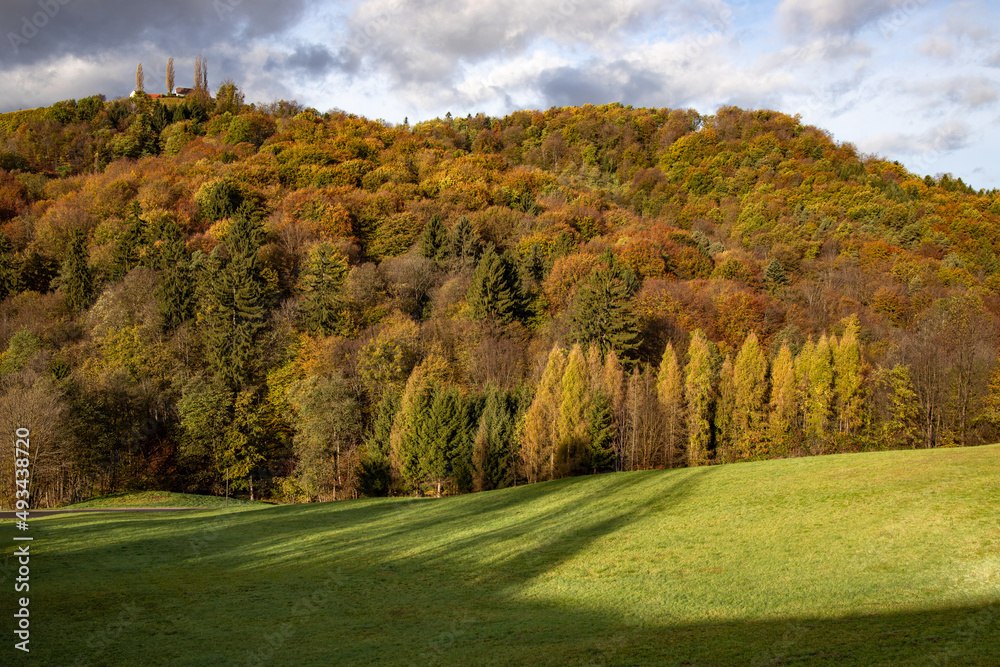 meadow in front of a forest on  a hill with a cloudy sky in south styra