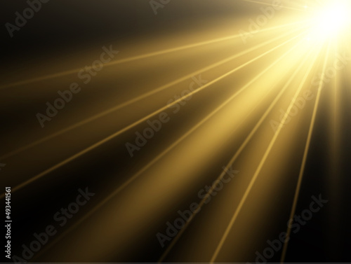 Bright beautiful star.Vector illustration of a light effect on a transparent background. 