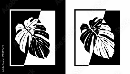 vector stock illustration of tropical monstera leaves, silhouette, design elements, minimalist style, editable vector, available in two colors, black and white. photo