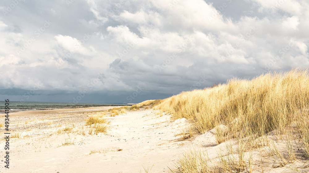 on the beach of the baltic sea with clouds, dunes and beach. Hiking in autumn. on the beach of the baltic sea with clouds, dunes and beach. Hiking in autumn.