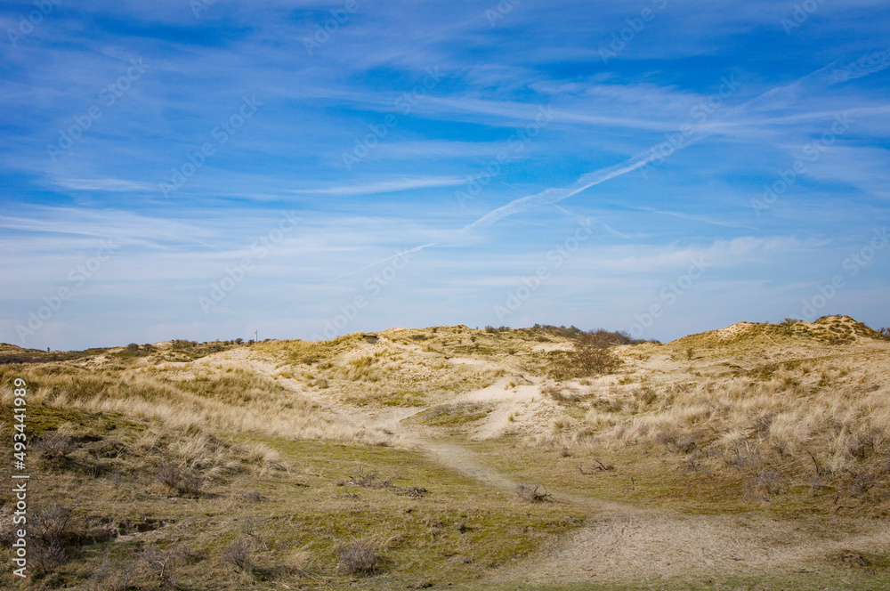 Dunes in Netherlands. Beautiful spring landscape. Dunes in Netherlands. Beautiful spring landscape.