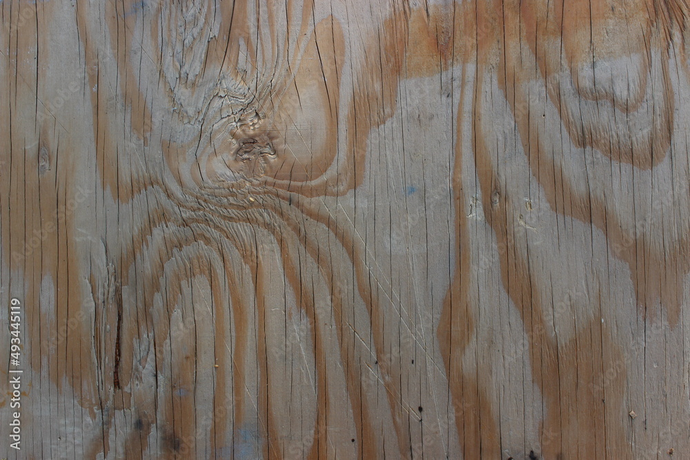 Obraz premium Tekstura drewna