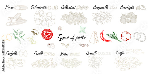 Types of pasta. Short pasta difference, illustration example with ingredients. Black and white.