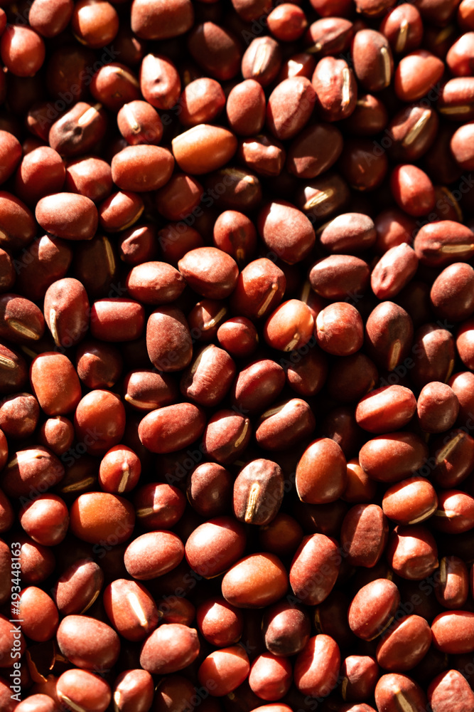 Adzuki beans or red mung bean, is an annual vine widely cultivated throughout East Asia for its small bean. Adzuki beans or red mung bean, is an annual vine widely cultivated throughout East Asia for its small bean.