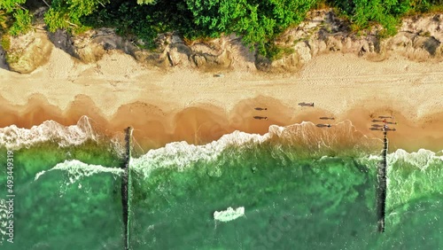 Aerial view of beach in Baltic Sea in summer