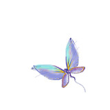 Butterfly on transparent background