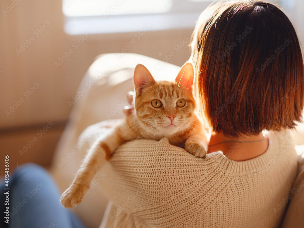 Cat top holding sweater