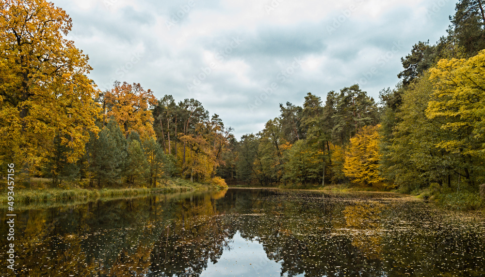Obraz na płótnie Widok na jezioro w lesie. Jesienne kolory liści w salonie