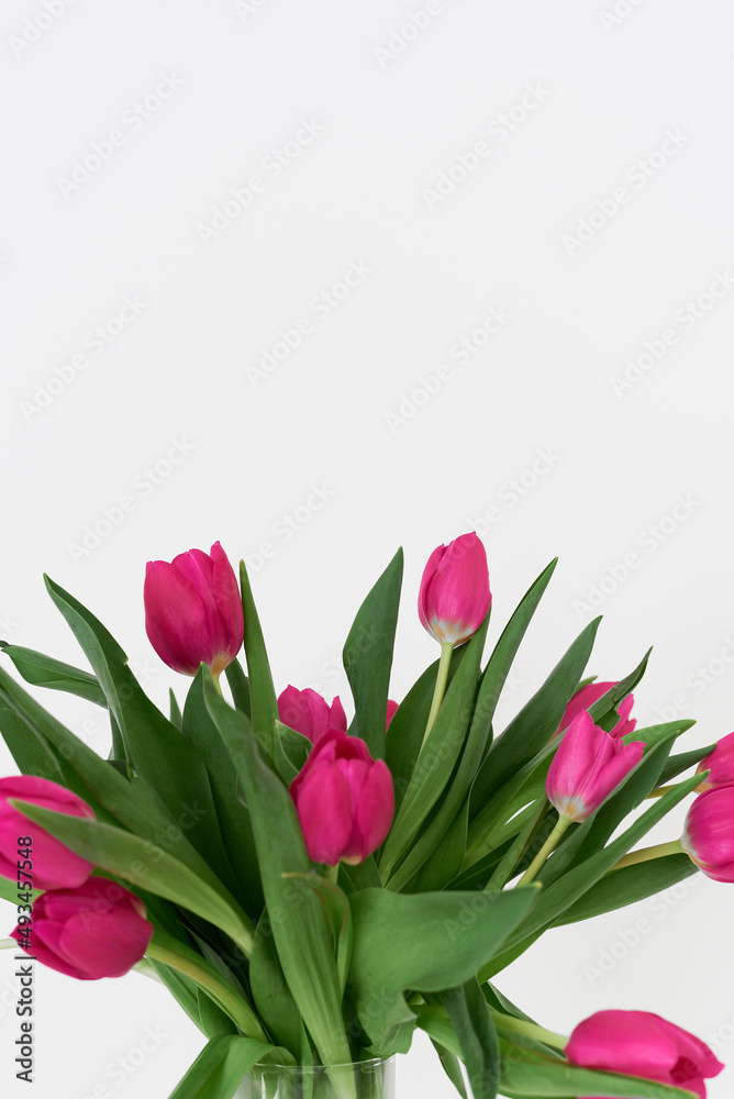 Pink tulips. Bouquet of spring flowers