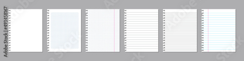 Vector realistic torn sheets of paper from exercise book. Squared and lined blank pages.