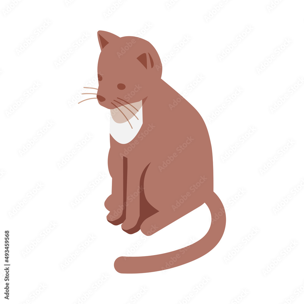 Obraz premium Allergic Cat Hair Composition