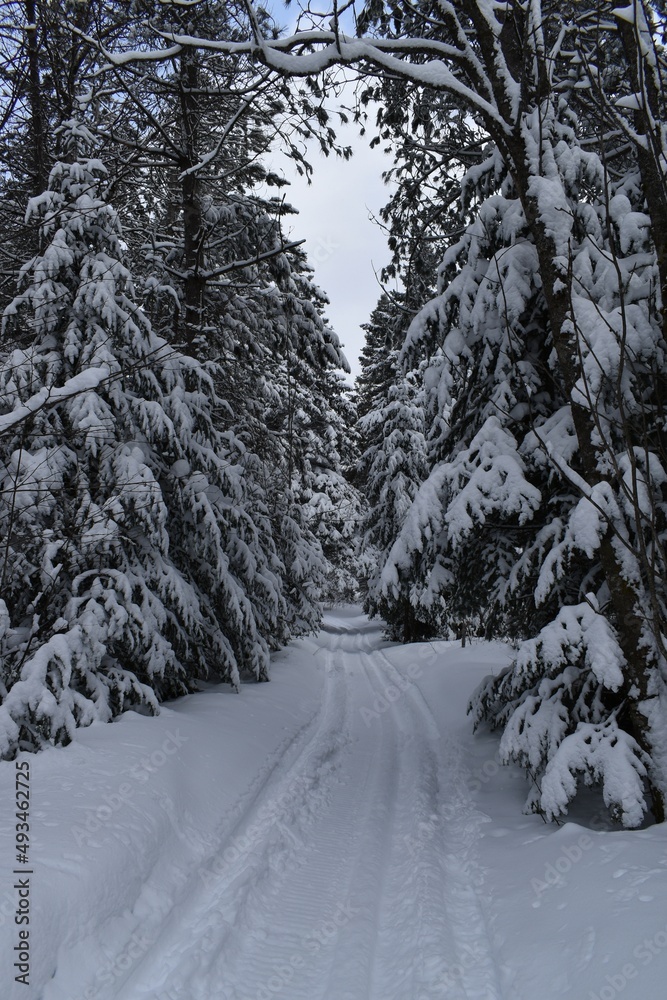 A snowmobile trail, Sainte-Apolline, Québec, Canada A snowmobile trail, Sainte-Apolline, Québec, Canada