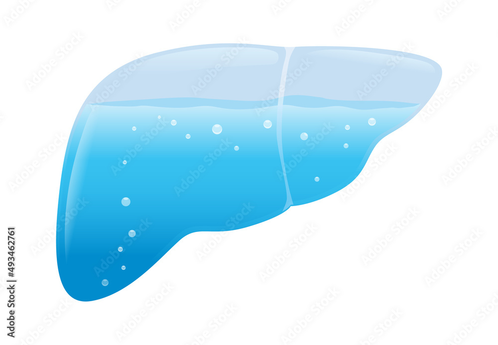 Water glass in Liver shape fills with clean water. Concept illustration