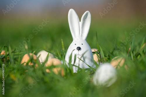 white ceramic rabbit on green grass in a field with eggs