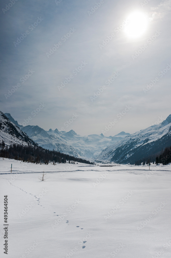 Fototapeta premium Val Roseg, Piz Roseg, Ova da Roseg, Rosegbach, Piz Sella, Piz Glüschaint, Sellagletscher, Winterwanderweg, Langlaufloipe, Berninagruppe, Oberengadin, Alpen, Winter, Wintersport, Graubünden, Schweiz 